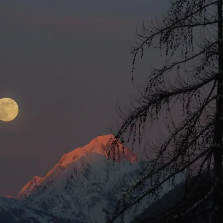 Raccard Cendre 아파트