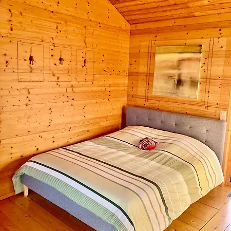 Raccard Cendre 아파트 Grône