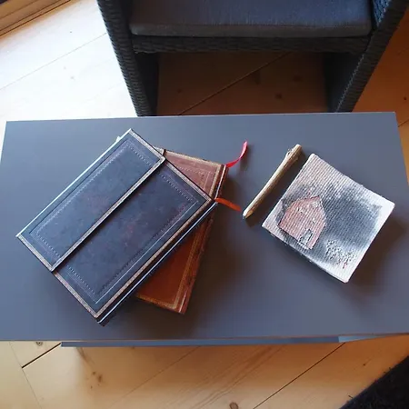 Studio Raccard Cendre * Grône