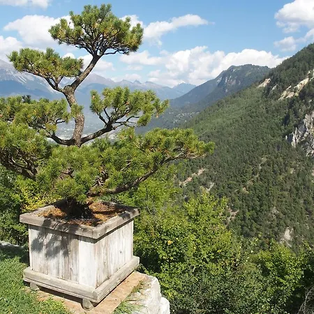 Apartman Raccard Cendre *